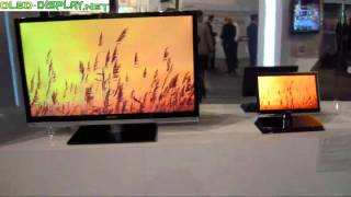 Hisense 15 inch OLEDTv at CES2011 [upl. by Ahsi]