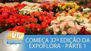 Começa a 37ª edição da Expoflora em Holambra  Parte 1 [upl. by Ocirne]