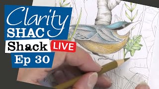 🔴 Clarity LIVE from the SHAC Shack  Episode 30  The Nuthatch Day 3 [upl. by Badr]