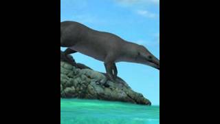 Whale Walked in desert in Rajasthanshortvideos shorts interestingfacts [upl. by Dagall]