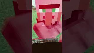 POVMinecraft Leben [upl. by Avrom]