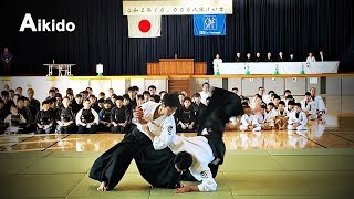 This is Aikido Model demonstration in 2020  Shirakawa Ryuji shihan [upl. by Eeram]