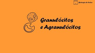 Granulócitos e Agranulócitos [upl. by Kinimod]