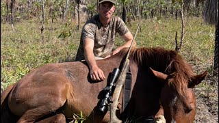 Hunting Horses On Public Land  Pest Control In The NT  A PB Boar [upl. by Nilrah]