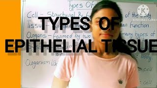 Types Of Epithelial Tissue  Anatomy amp physiology [upl. by Yliab]