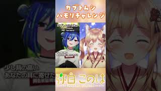 カブトムシ ハモリコラボ w涼海ネモさん 歌ってみた shorts 個人勢vtuber jpvtuber デュエットチャレンジ ハモリチャレンジ [upl. by Stag112]