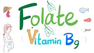 Vitamin B9 Folate 🥬  Folic  Structure Function Folate Deficiency Anemia Diagnosis amp Treatment [upl. by Aitnauq]