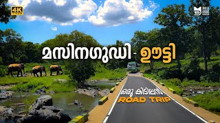 Masinagudi to Ooty  36 Hair Pin കേറി ഒരു കിടിലൻ one way road trip [upl. by Ynner]