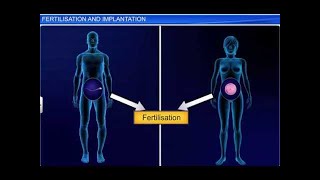 CBSE Class 12 Biology Human Reproduction – 4 Fertilization and Implantation [upl. by Gladwin]