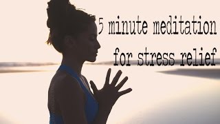 5 Minute Guided Meditation for Stress Relief [upl. by Paulsen]