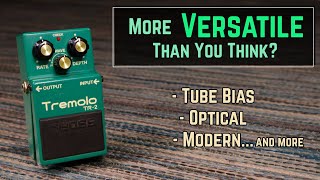 Tremolo Masterclass Using The Boss TR2 Pedal [upl. by Elacsap]