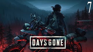 Прохождение игры Days Gone на 100 7Новые Территории [upl. by Munster]