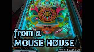 Restored this Travel Time Pinball from a Mouse House 2 mice evicted [upl. by Horace]