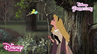 Šípková Růženka  Já hádám  Disney Princezny [upl. by Roxi2]