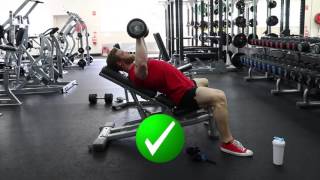 DB Incline Bench  Execution Series  PhysiqueDevelopmentcom [upl. by Oconnor15]