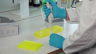 Episode 12  quotPipetting the Samples for PCR 2quot [upl. by Eaj807]