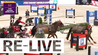 RELIVE  Competition 1  FEI Driving World Cup 202425 Lyon FRA [upl. by Haleigh]