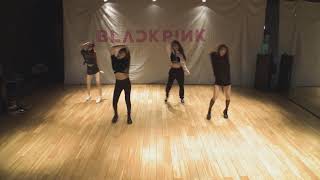 BLACKPINK Dragostea din tei DANCE PRACTICE [upl. by Hgielrebmik]