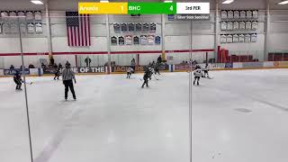 Arvada  BHC  Silver Stick Semifinal [upl. by Jaan77]