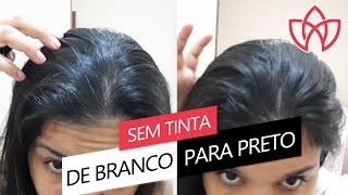 ESCONDER CABELO BRANCO SEM PINTAR [upl. by Kramer359]