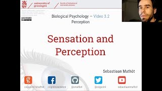 Sensation and Perception  Biological Psychology 32 [upl. by Panthia]