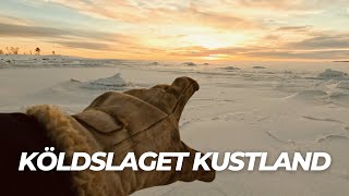 35ºC Den där gången det var is till Finland i början av januari 4K [upl. by Nets340]