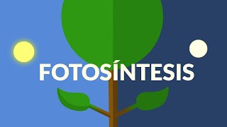 La Fotosíntesis [upl. by Venita]