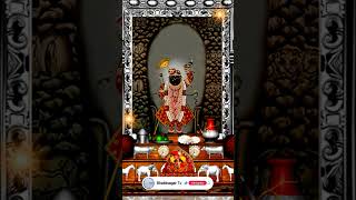 Aaj Ka Darshan Magsar Shukla Ashtami 20 December 2023  Shrinathji ke Darshan [upl. by Fergus11]