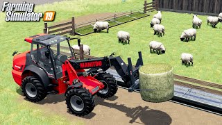 Zakup owiec  Farming Simulator 19  44 [upl. by Izaak]