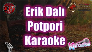 Erik Dalı Karaoke Potpori ORJİNAL  Erik Dalı  Zambara mı  Huriyem  Dv Müzik Prodüksiyon [upl. by Weiner251]