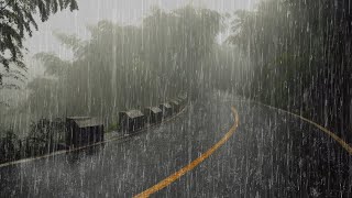 Lluvia Relajante Para Dormir y Descansar Profundamente en 5 minutos 💤 Lluvia en el Bosque Brumoso [upl. by Ayikur785]