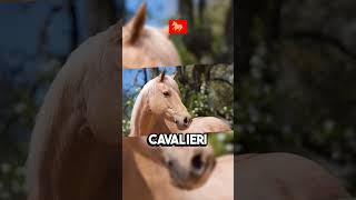 LE 5 RAZZE DI CAVALLI 🏇 PIU COSTOSE AL MONDO 💰🌍🏇 shortvideo animali cavalli costose mondo [upl. by Santa]