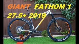 Giant Fathom 1 2019 275 [upl. by Jarlath]