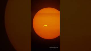 What Color Is The Sun 🌞 wtfacts [upl. by Trela488]