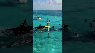 Snorkeling for Beginners How to START Snorkeling shorts snorkeling scubadiving underwater [upl. by Ahsitniuq]