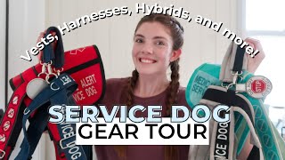 SERVICE DOG GEAR TOUR [upl. by Jacquenetta]