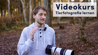 Videokurs  Tierfotografie lernen [upl. by Siuqcram759]