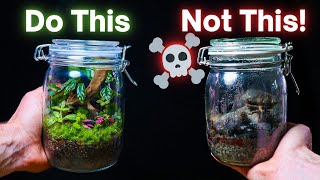 10 ESSENTIAL Terrarium Tips For Beginners [upl. by Manuel]