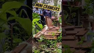 Mini crawlers 2024 minircadventure fms axial hobbyplus traxxas scx24 trx4m [upl. by Hayouqes]