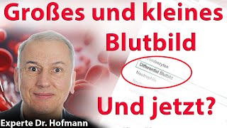 Sinnvolle Blutwerte Experte Dr Hofmann klärt auf [upl. by Vlad]