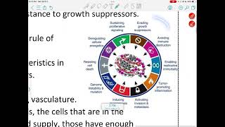 PHARMACOLOGY  LEC5  ANTINEOPLASTIC AGENTS 1  Mohammad AItradat [upl. by Nniroc]