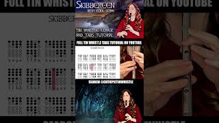 Skibbereen  Beautiful Irish Folk Song  Played on Irish Tin Whistle [upl. by Nessie663]