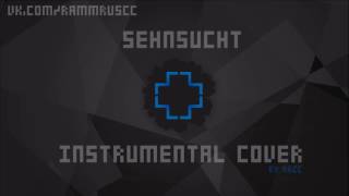 Rammstein  Sehnsucht instrumental cover [upl. by Niliram]