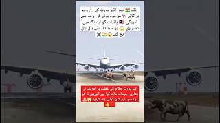 American airlines boeing A389 difficult landing in India aviation trending reelsstortsf16 new [upl. by Duquette]