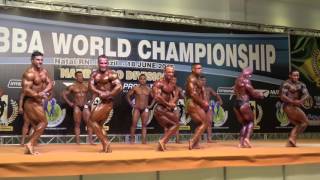 5th Callout  Class 4  Prejudging  NABBA World 2016 [upl. by Rahmann270]