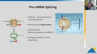 BIOL201 Ch154  RNA Processing in Eukaryotes [upl. by Yllah]