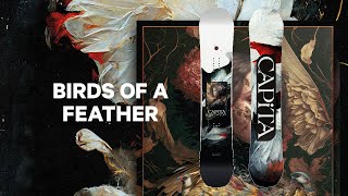 CAPiTA Snowboards  2025 Birds of a Feather [upl. by Yht458]