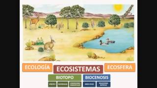 TEMA 5 LOS ECOSISTEMAS DE LA TIERRA [upl. by Maia]