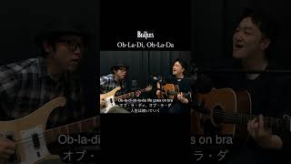 ObLaDi ObLaDa  オブ･ラ･ディ､ オブ･ラ･ダ  ビートルズ The Beatles Cover shorts [upl. by Ahsatniuq]