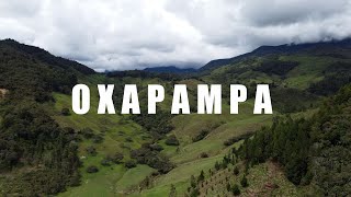 Oxapampa Perú 🇵🇪 In 4K  Drone Shots For Oxapampa 4K ULTRA HD [upl. by Kimble650]